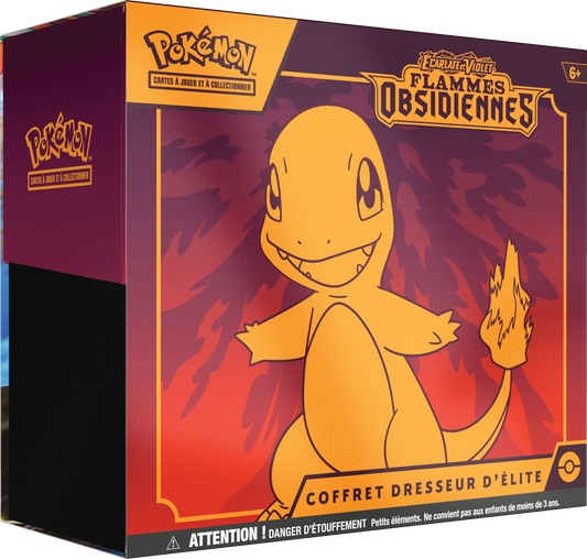 Flammes Obsidiennes – édition française